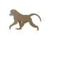 Funny Baboon T-Shirt