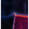 King in the dark