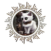 Petit chat steampunk