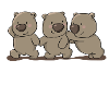 Wombats Crossing