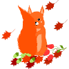 Squirrels in autumn
