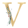 Customizable Monogram V