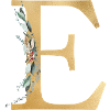 Monogramme E personnalisable
