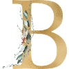 Customizable Monogram B