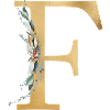 Monogramme F personnalisable