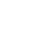 Ghost dragon