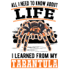 Tarantula Spider Tarantula