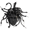 dark medusahead