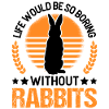 Rabbit Gift Rabbit Rabbit