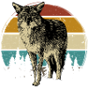 Coyote Coyote Animal Wild Animal