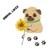 Animal Lover, chien mignon