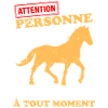 humour cheval cavalier 2