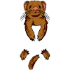 Frettchen Man I Love Ferrets