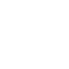 20 number crown