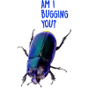 Am I bugging you