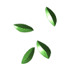 leaves sheet symbol pattern