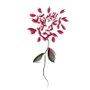 symbol red flower