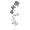 fleurs de rose plantes grises