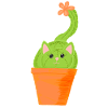 catcus