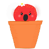 strawberry koala