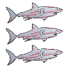 Tatouage traditionnel - Requins