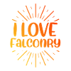 I love falconry
