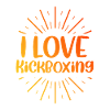 I love kick boxing