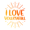 I love volleyball