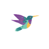Colibri