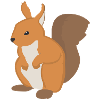 Squirrel Illustration Gift Idea