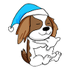 Dog dog breed Charles Spaniel