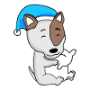 Hund Hunderasse Bullterrier