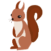 Squirrel Illustration Gift Idea