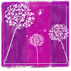 Dandelions
