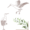 Storks