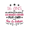 humour anniversaire 16 ans