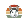 Dog Sledding | Mushing