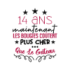 humour anniversaire 14 ans