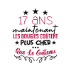 humour anniversaire 17 ans