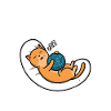 Official sleep shirt cat