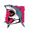 Shark Diving | Plongée Avec Les Requins