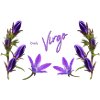 Virgo Zodiac Sign Virgo Bellflower