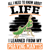 Gottesanbeterin Mantis Fangschrecke
