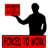 Pêche