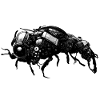 Cyber Scarab