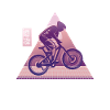 Vaporwave Descente
