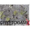 Cryptogam - not a cryptogame
