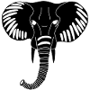 Black elephant head