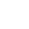 White elephant head
