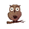 Coffee Owl Owl Gift